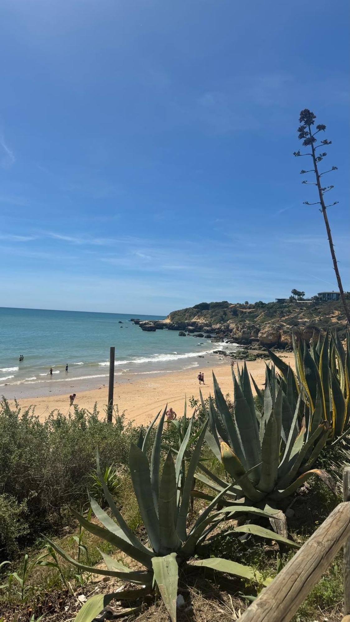 New Algarvegas Paradise Apartment Albufeira Extérieur photo